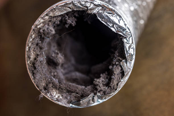 Best HVAC System Cleaning  in Lockport Heights, LA