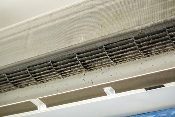 Best Home Air Vent Cleaning  in Lockport Heights, LA